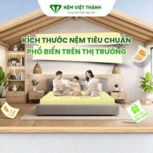 kich thuoc nem tieu chuan 1