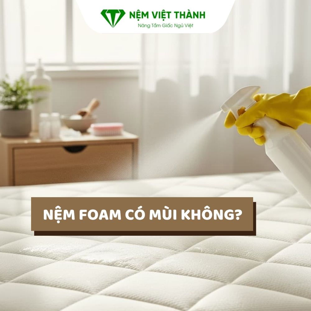 nem foam co mui khong 1