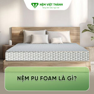 nem pu foam la gi 1