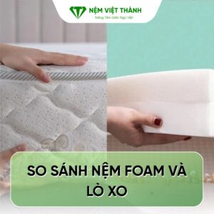 so sanh nem foam va lo xo 1