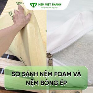 so sanh nem foam va nem bong ep 1