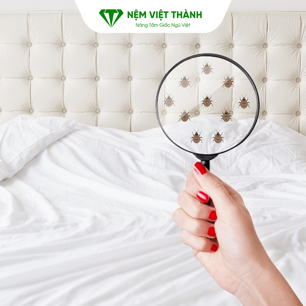 Do bụi bẩn và vi khuẩn tích tụ lâu ngày tích tụ lại khiến nệm có mùi hôi Do bụi bẩn và vi khuẩn tích tụ lâu ngày tích tụ lại khiến nệm có mùi hôi