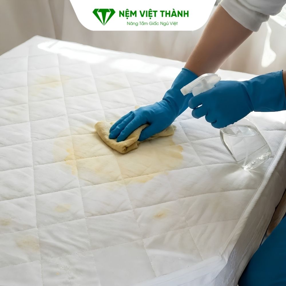 Những lưu ý cần biết khi vệ sinh nệm tại nhà Những lưu ý cần biết khi vệ sinh nệm tại nhà