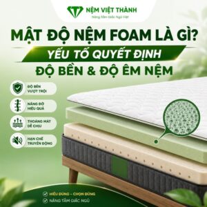 mat do nem la gi 1