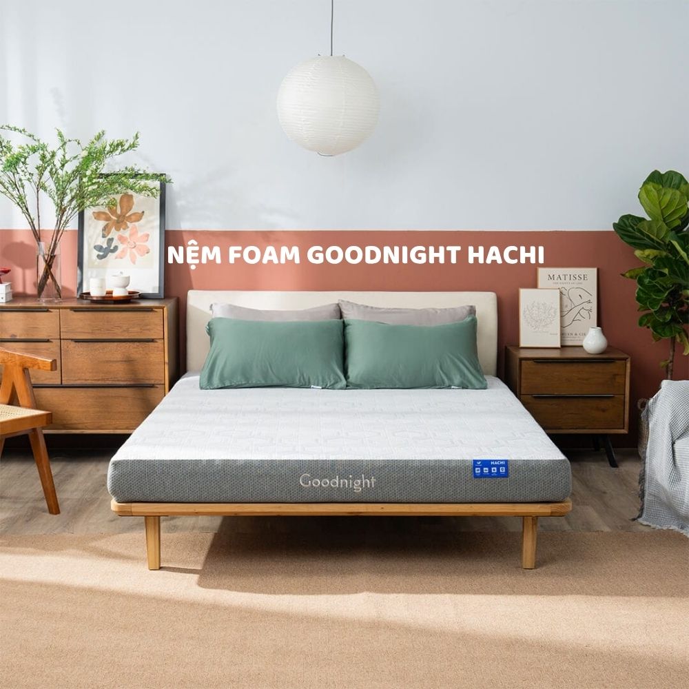 Nệm foam Goodnight Hachi