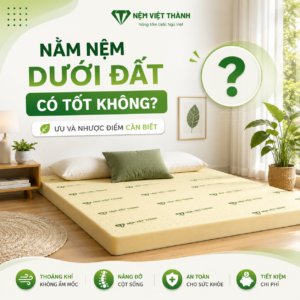 nam nem duoi dat co tot khong 13