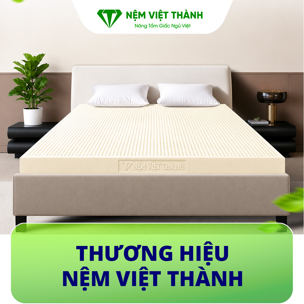 Nệm cao su thiên nhiên Việt Thành Nệm cao su thiên nhiên Việt Thành