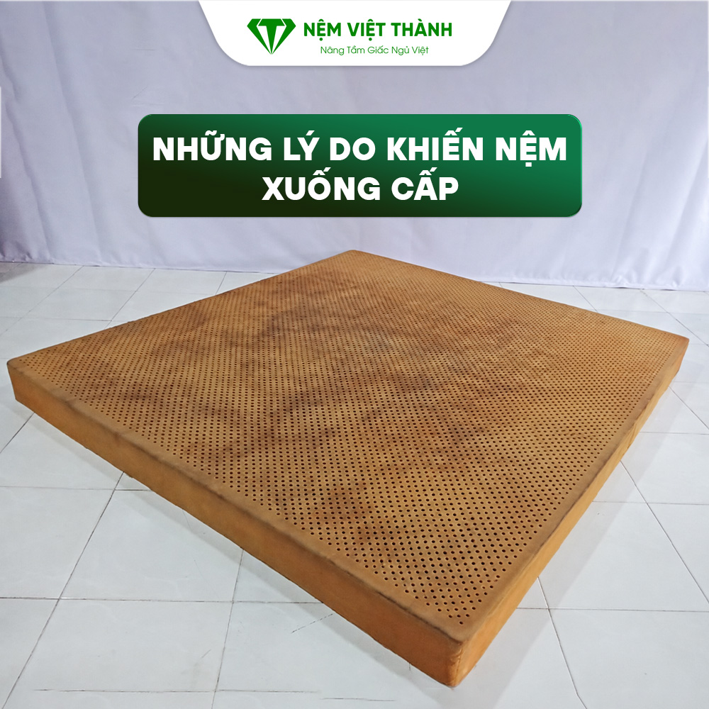Nệm cao su có phơi nắng được không? Cách xử lý đúng cách 2 Những sai lầm phổ biến khiến nệm cao su xuống cấp