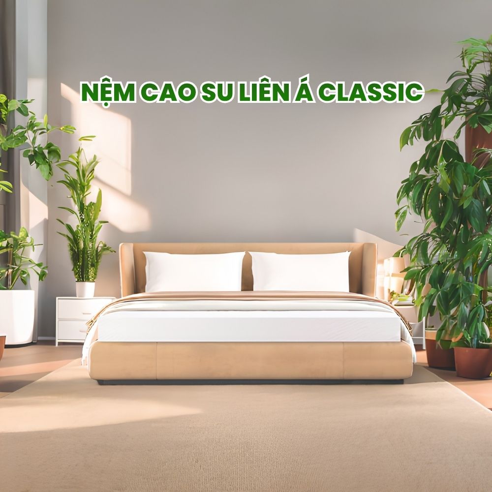 Nệm cao su Liên Á Classic