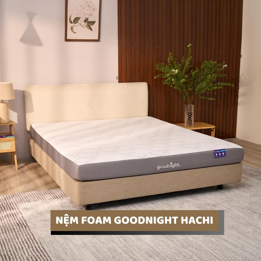 Nệm foam Goodnight Hachi
