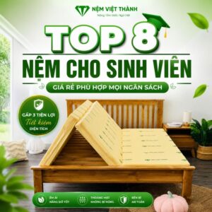 nem cho sinh vien 1