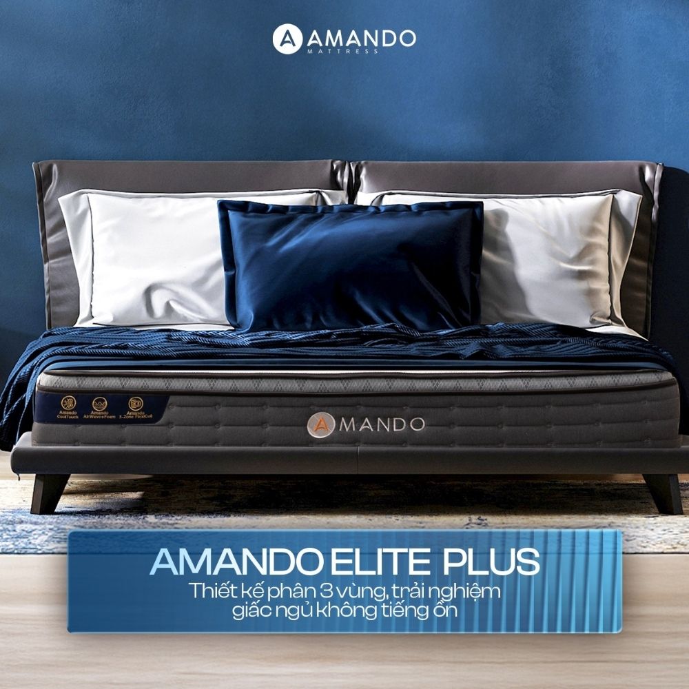 Nệm lò xo túi độc lập Amando Elite Plus Nệm lò xo túi độc lập Amando Elite Plus