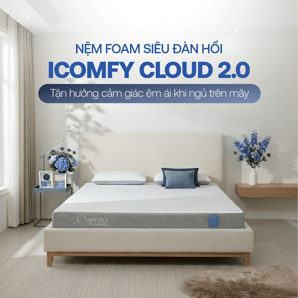 Nệm foam Comfy Cloud 2.0 Nệm foam Comfy Cloud 2.0