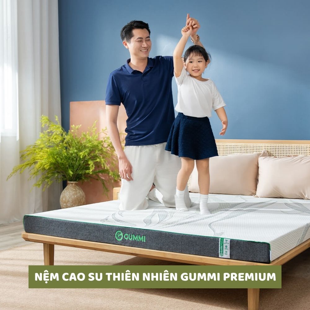 Nệm cao su thiên nhiên Gummi Premium Nệm cao su thiên nhiên Gummi Premium