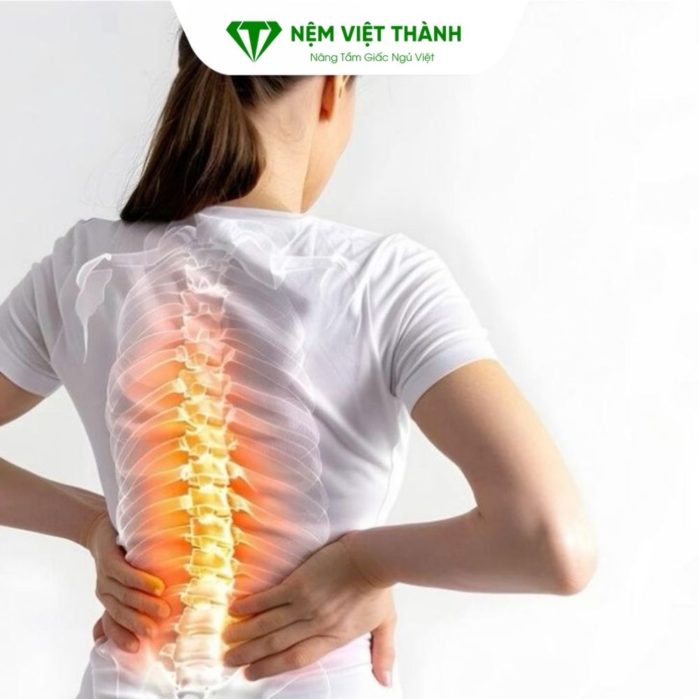 Cột sống có chức năng gì? Cột sống có chức năng gì?