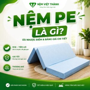 nem pe la gi 1