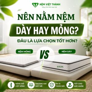 nen nam nem day hay mong 1