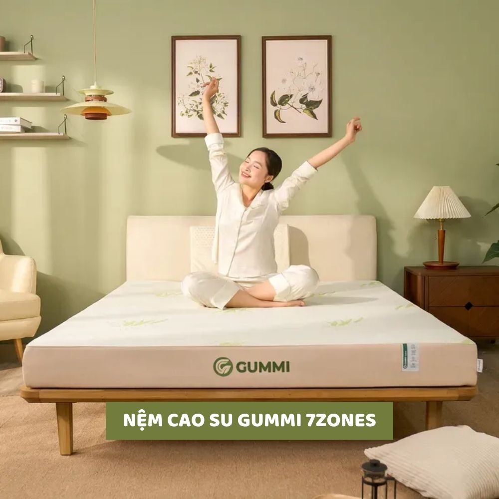 Nệm cao su Gummi 7zones Nệm cao su Gummi 7zones