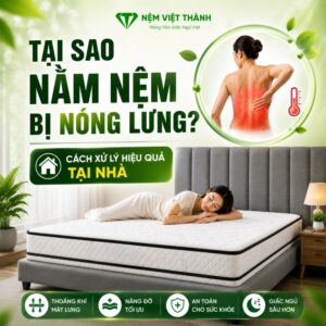 tai sao nam nem bi nong lung 11