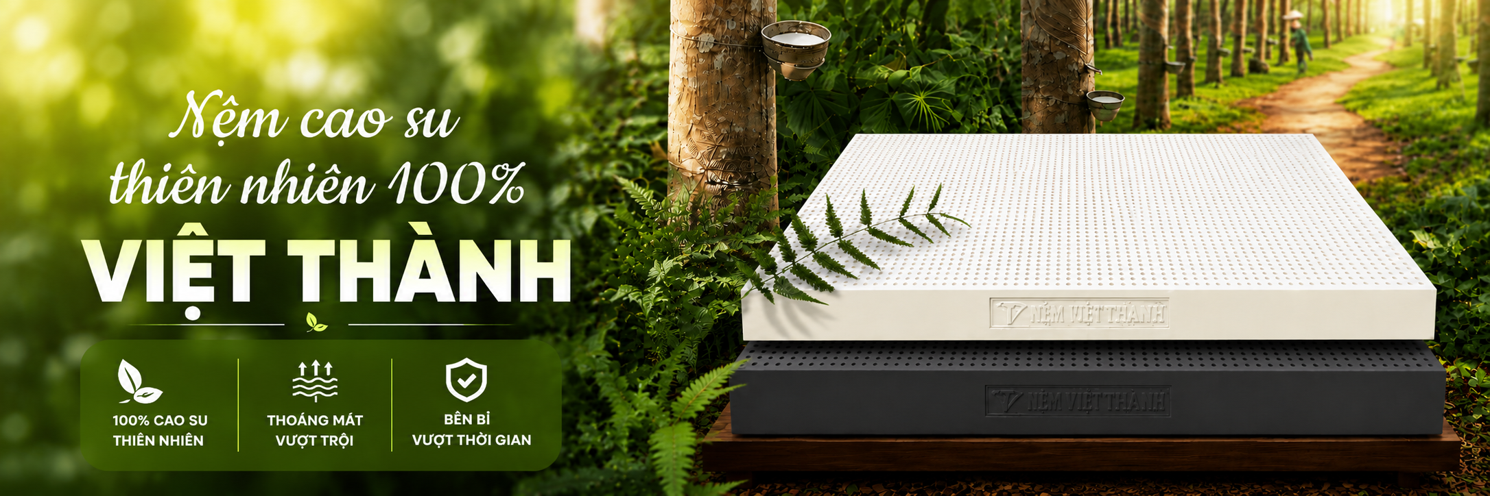 banner trang chu nem viet thanh 6
