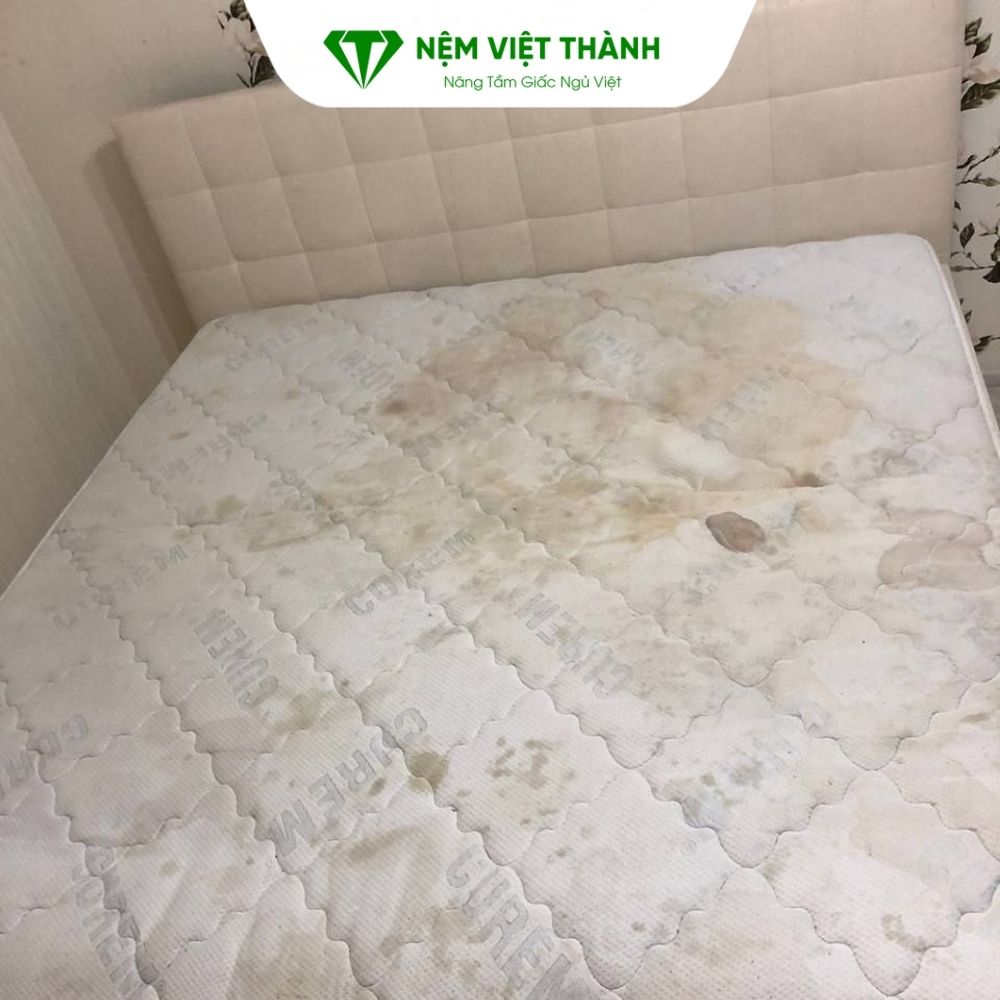 Tác hại khi không giặt nệm thường xuyên khiến nệm bị nấm mốc và có mùi hôi khó chịu Tác hại khi không giặt nệm thường xuyên khiến nệm bị nấm mốc và có mùi hôi khó chịu