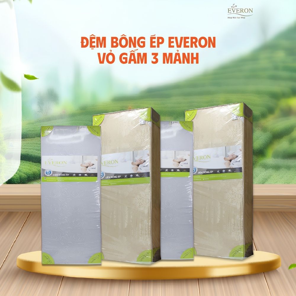 Nệm bông ép Everon vỏ gấm Nệm bông ép Everon vỏ gấm