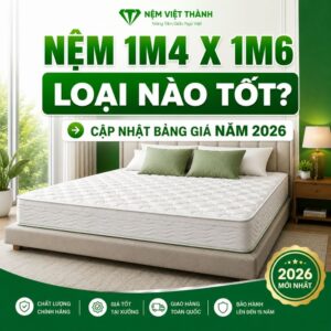 nem 1m4 x 1m6 9