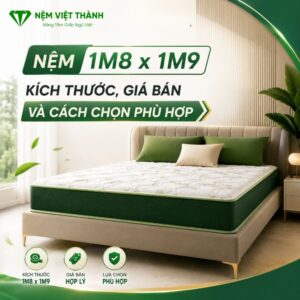 nem 1m8 x 1m9 10