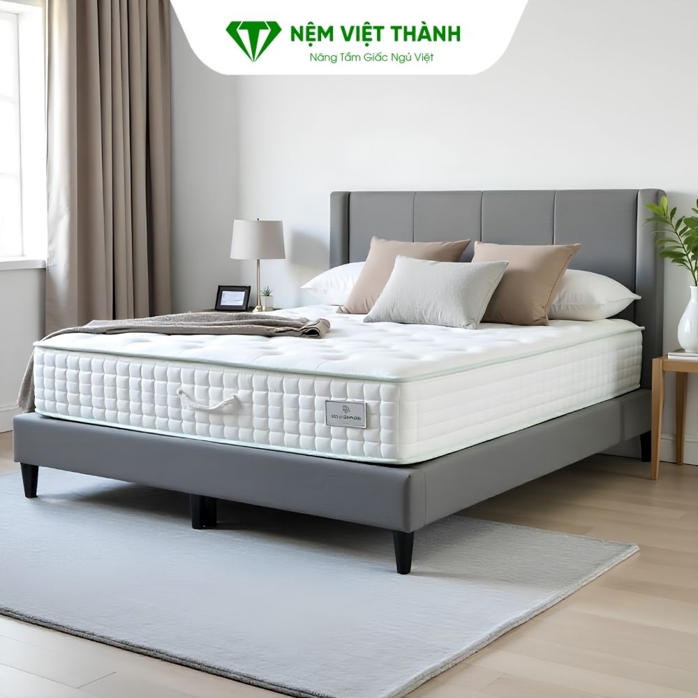 Mua nệm 1m8 x 2m2 ở đâu uy tín và chất lượng Mua nệm 1m8 x 2m2 ở đâu uy tín và chất lượng