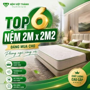 nem 2m x 2m2 1