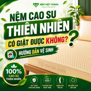 nem cao su thien nhien co giat duoc khong 1