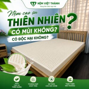 nem cao su thien nhien co mui khong 1