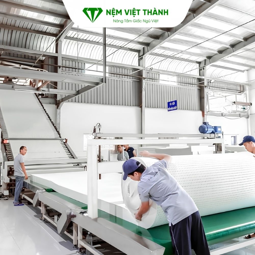 Mùi phát sinh trong quá trình sản xuất nệm cao su thiên nhiên Mùi phát sinh trong quá trình sản xuất nệm cao su thiên nhiên