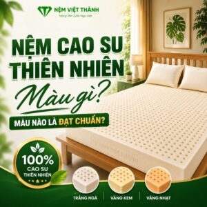 nem cao su thien nhien mau gi 1