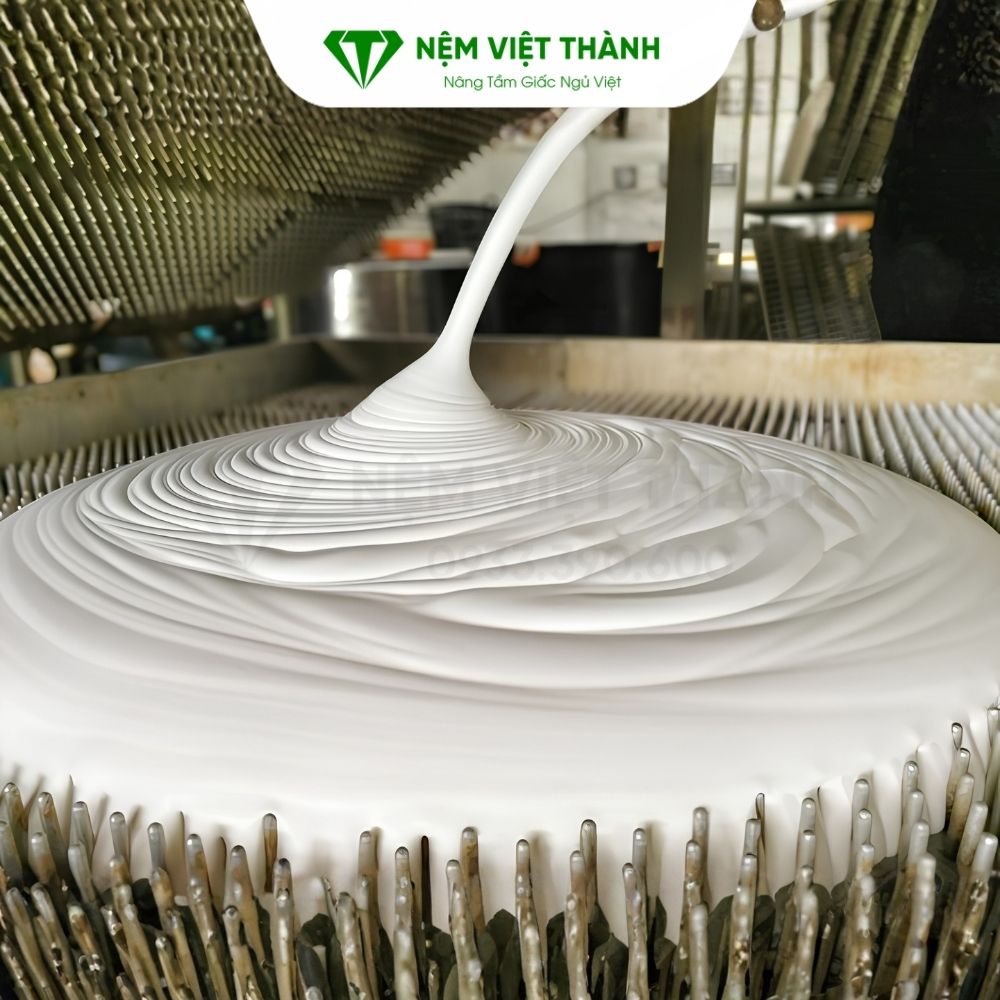 Tác động của quá trình lưu hóa trong quá trình sản xuất nệm cao su thiên nhiên