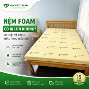 nem foam co lun khong 1