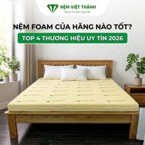 nem foam cua hang nao tot 1