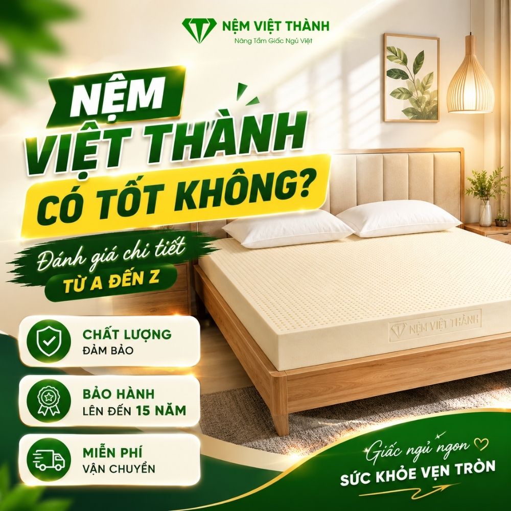 nem viet thanh co tot khong 8