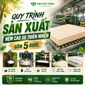 quy trinh san xuat nem cao su thien nhien 1
