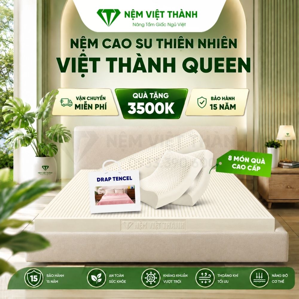 Nệm Cao Su Thiên Nhiên Queen Việt Thành Nệm Cao Su Thiên Nhiên Queen Việt Thành