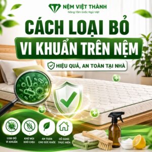 cach loai bo vi khuan tren nem 1