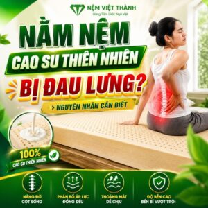 nam nem cao su thien nhien bi dau lung 1