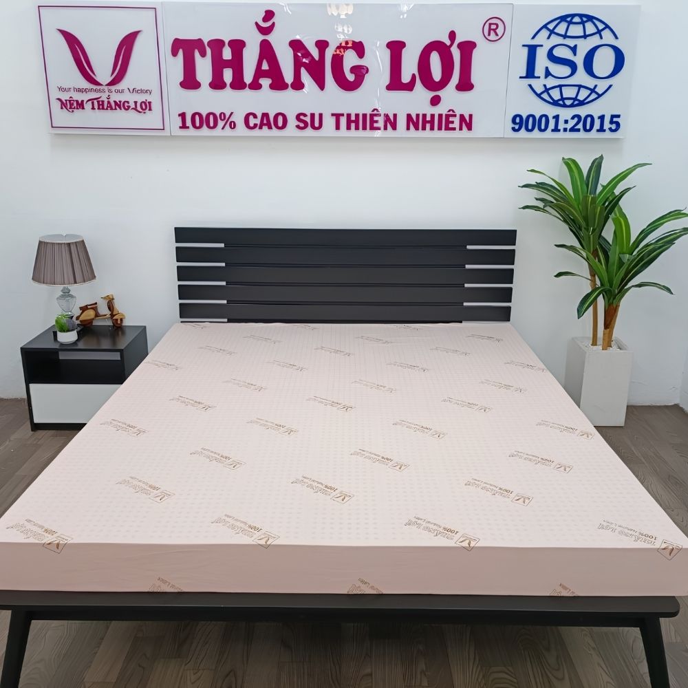 Nệm cao su thiên nhiên Thắng Lợi Sisi Advanted