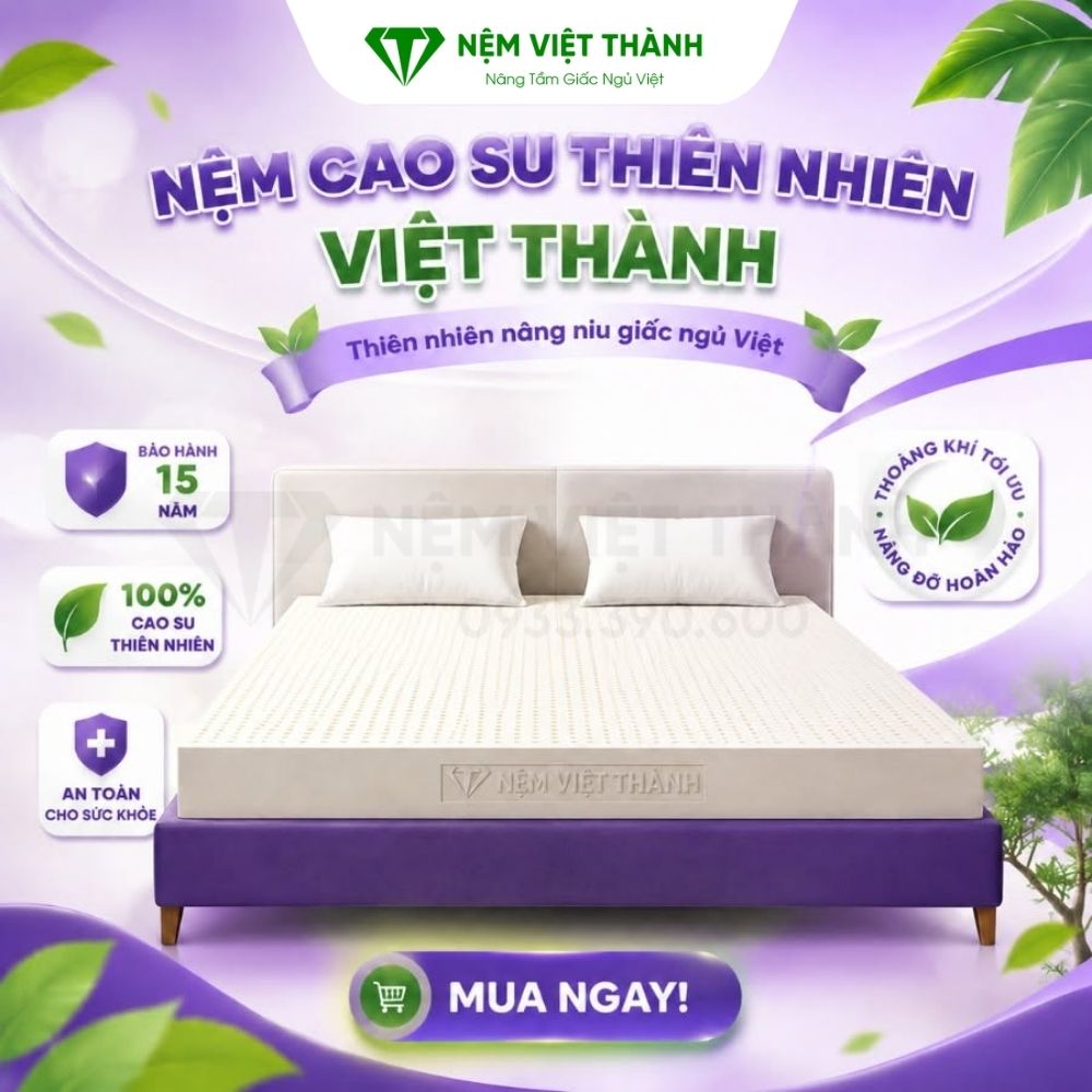 Nệm cao su thiên nhiên Việt Thành phù hợp cho nhiều đối tượng khác nhau