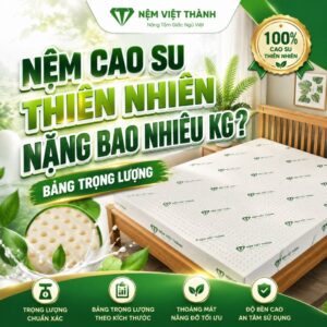 nem cao su thien nhien nang bao nhieu kg 1