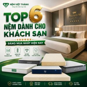 nem danh cho khach san 1