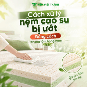 Cách Xử Lý Nệm Cao Su Bị Ướt Đúng Cách, Không Làm Hỏng Nệm