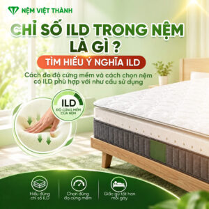 Chỉ Số ILD Trong Nệm Là Gì? Cách Chọn Nệm Có ILD Phù Hợp