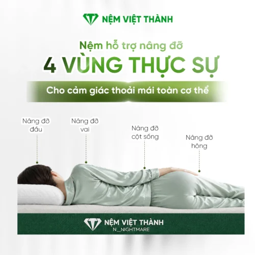 Nệm Cao Su Foam N_Nightmare Gấp 2 phù hợp với ai?