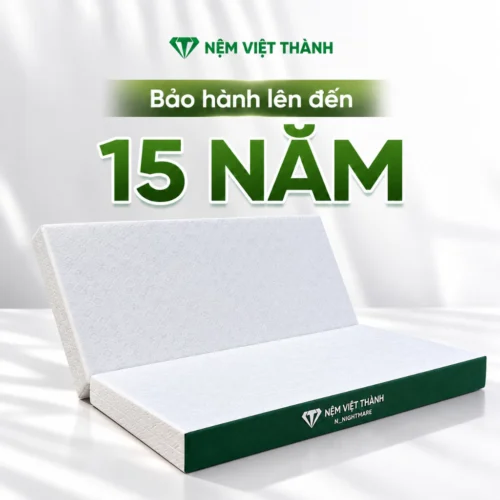 Nệm Cao Su Foam N_Nightmare Gấp 2 giá bao nhiêu?